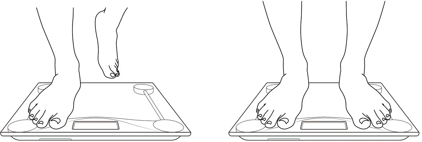 ETEKCITY Digital Body Weight Scale - Operation
