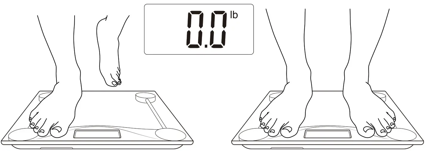 ETEKCITY Digital Body Weight Scale -Recalibrating