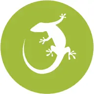 SILABS LABS BRD4188B EFR32xG24 2 4 GHz 20 dBm Antenna Diversity Radio Board - ICON 1