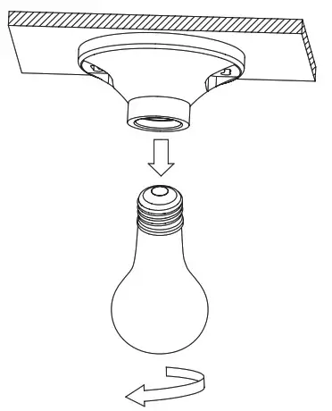 COMMERCIAL ELECTRIC 1007665038 LED Spin Light With 3 Adjustable Heads - Lamp holder 1