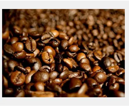 Thermador-THD-22-Built-In-Coffee-Machine-FIG- (15)