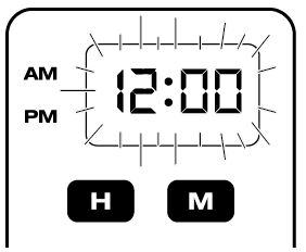 Ninja-CE251-coffee BREWER-3