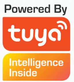 MORRIS MPH-20041S Glass Transmitter 2400W - SYAMBOL