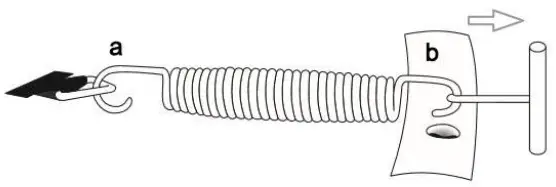 virtufit VF06004-244 Trampoline with Safety Net- Jumping Mat