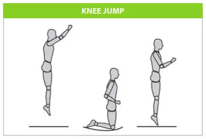 virtufit VF06004-244 Trampoline with Safety Net- KNEE JUMP
