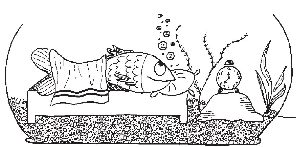 REMEDIA- PUBLICATIONS- REM467- Wonder Stories -Reading Level 2 -fig- 10