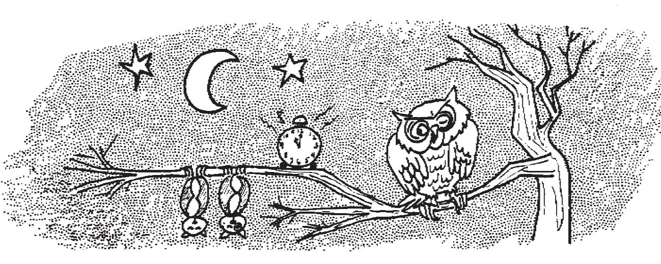 REMEDIA- PUBLICATIONS- REM467- Wonder Stories -Reading Level 2 -fig- 7