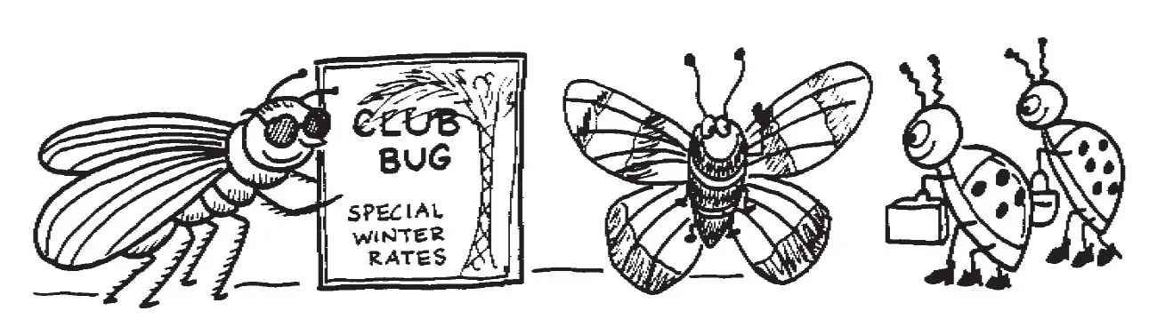 REMEDIA- PUBLICATIONS- REM467- Wonder Stories -Reading Level 2 -fig- 9