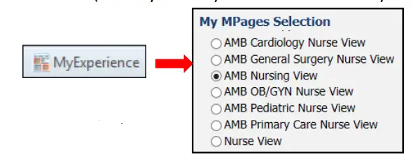 MUNSON HEALTHCARE Clinical and Clerical Staff Personalization for Clinical and Clerical Staff-32