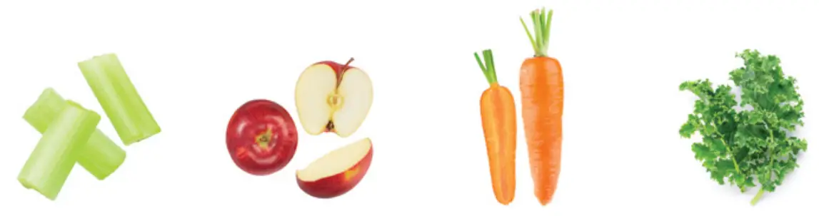 Shine KITCHEN SJX 1WH XL Cold Press Compact Juicer-PREPARATION 1