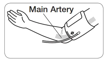 Main Artery