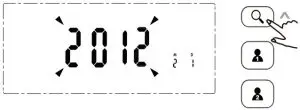 Monitor Display Year
