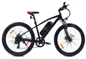 SachsenRad E Racing Bike R6-