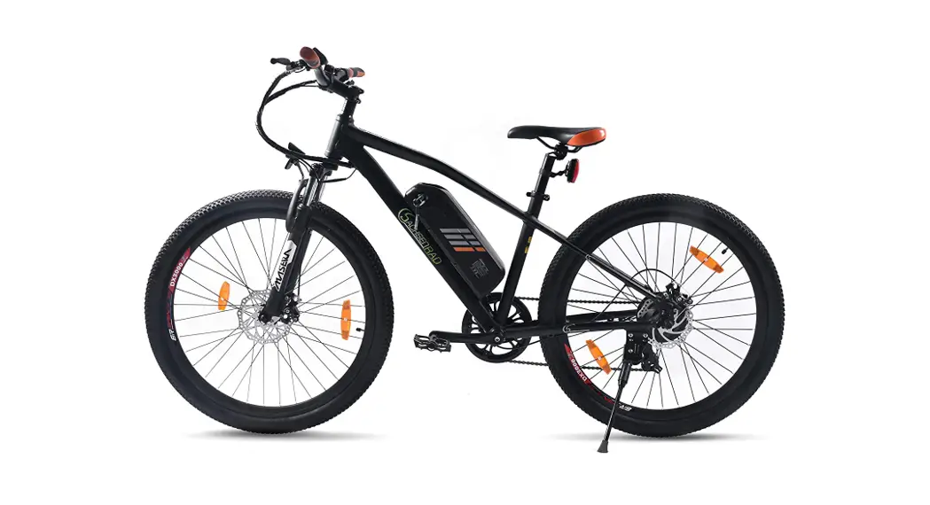 Sachsenrad E-racing Bike R6 Instruction Manual