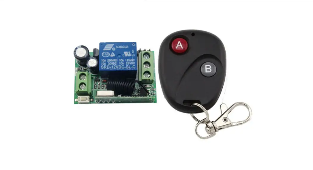 Shenzhen Century Aoke Electronics Ak4000-4 Long Range 4 Key Remote Control Instructions