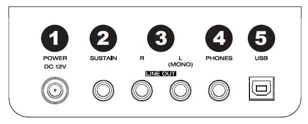 ALESIS-Recital-Pro-88-Key-Digital-Piano-Keyboard-FIG-4