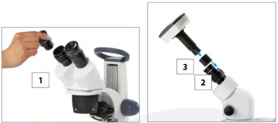 euromex SB.1302 1 StereoBlue Stereomicroscope - 12