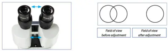 euromex SB.1302 1 StereoBlue Stereomicroscope - 2