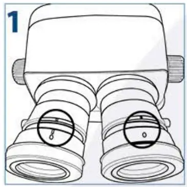 euromex SB.1302 1 StereoBlue Stereomicroscope - 3
