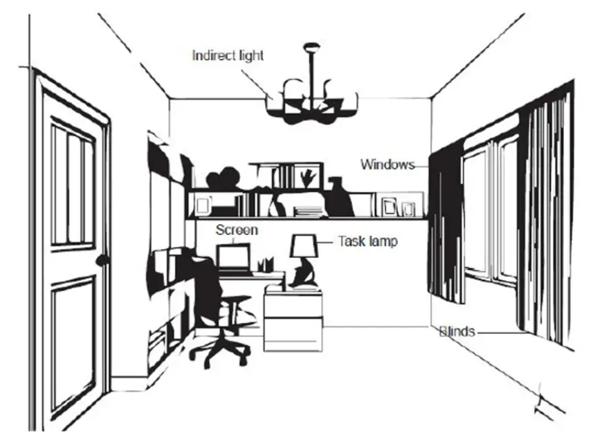 Lenovo ThinkVision Flat Panel Monitor - Environment