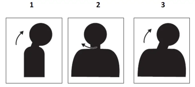 Lenovo ThinkVision Flat Panel Monitor - Relax