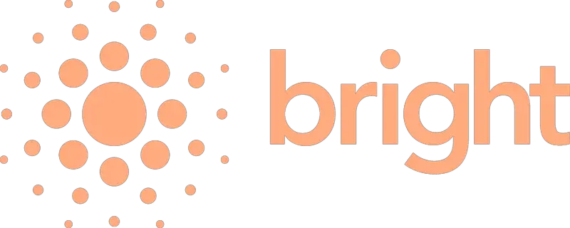 BRIGHT-016482-Stainless-Steel-Fridge-LOGO