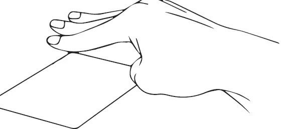 UMAX Visionbook N15G Plus 21