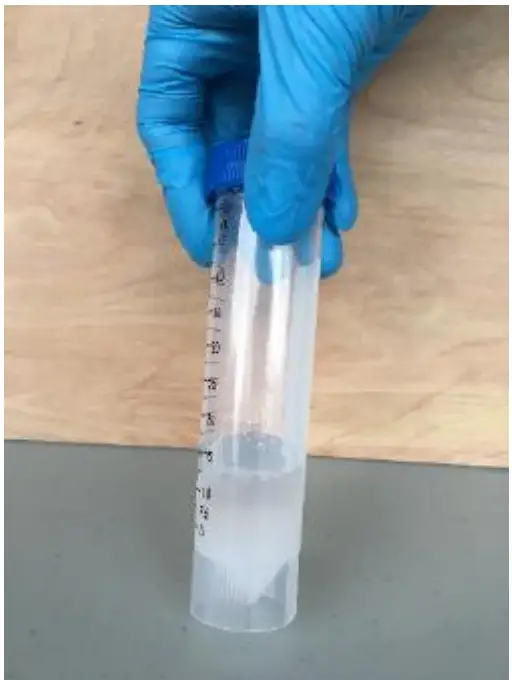 PRECISIONARY Compresstome VF 500 0Z Vibrating Microtome - ANATOMY OF THE COMPRESSTOME®14