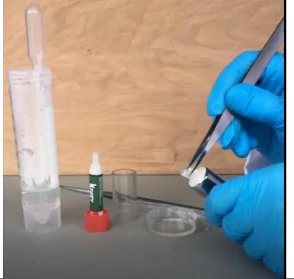 PRECISIONARY Compresstome VF 500 0Z Vibrating Microtome - ANATOMY OF THE COMPRESSTOME®16