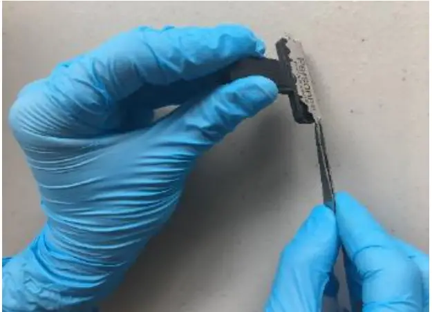 PRECISIONARY Compresstome VF 500 0Z Vibrating Microtome - ANATOMY OF THE COMPRESSTOME®29