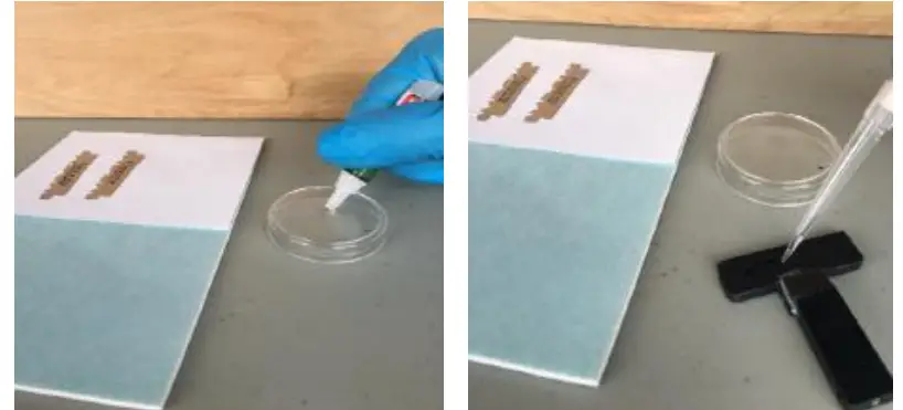 PRECISIONARY Compresstome VF 500 0Z Vibrating Microtome - ANATOMY OF THE COMPRESSTOME® 6