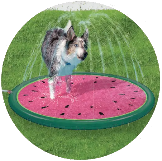 anko 43147304 Pet Water Fountain MatA