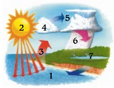 Pure-Water-Mini-Classic-Water-Purification-Syst-FIG-1