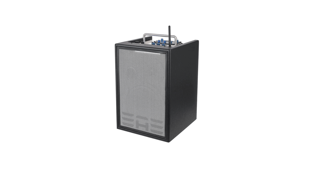 Elite Acoustics D6-8 Mkii Acoustic Amplifier User Guide