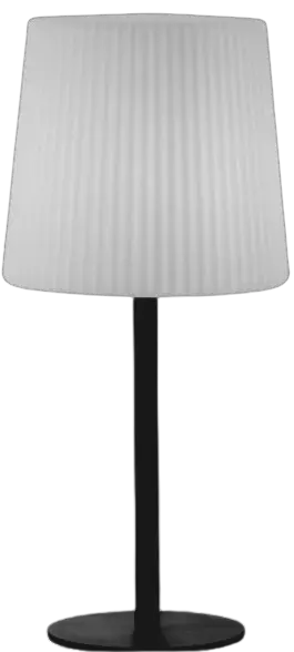 Paul Neuhaus 835706 Falter Floor Lamp Falter Anthracite