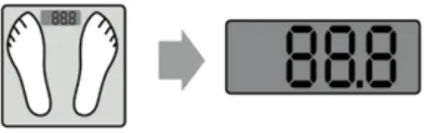 Dr Trust 505 Smart Body Fat Scale-body