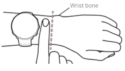 Wrist bone