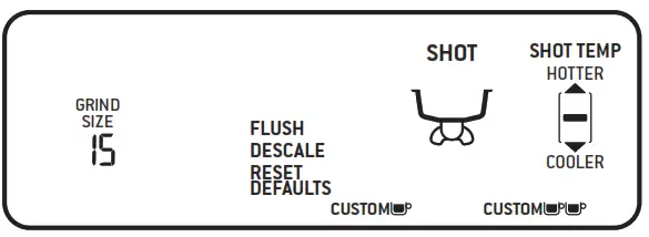 MANUAL PRE-INFUSION & EXTRACTION