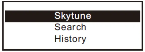 audizio 102 237 Turn WiFi Radio Receiver Adaptor - fig