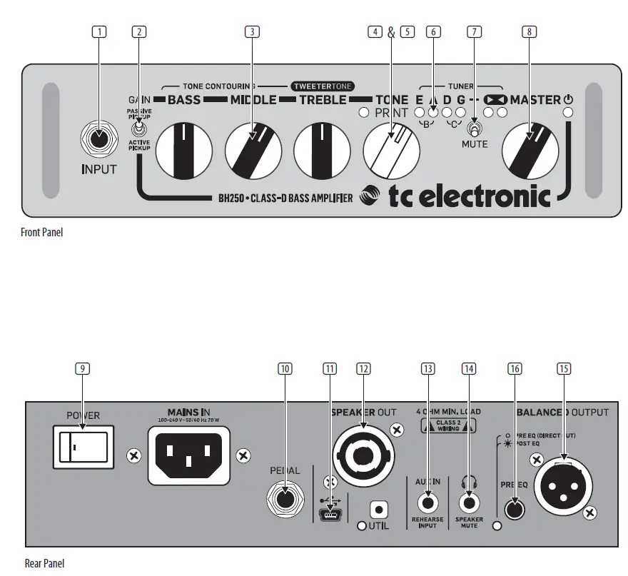 TC-ELECTRONIC-BG250-Bass-Head-Amplifiers-with-Tone-Print-Effects-fig3