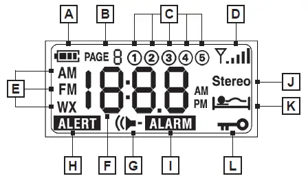 C-CRANE-C-C-Pocket-Weather-Radio-Alert-with-Clock-and-Sleep-Timer-2