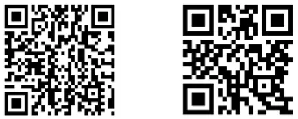 Paul Neuhaus 206421 Q Malina Floor Lamp - qr code