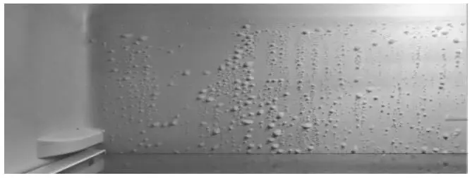 ICEKING-RK554W.E-4-Icebox-Fridge-White-fig9