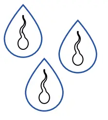 labcorp OnDemand 28101 Male Fertility Testing System - Fig 8