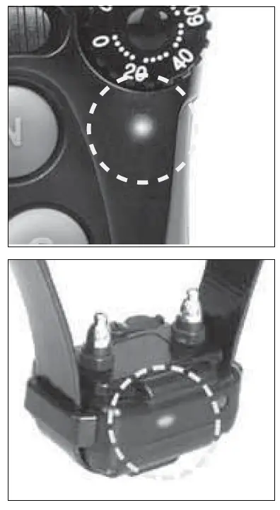 Dogtra iQ Series Rechargeable Waterproof 400-Yard Remote Dog Training E-Collar (11)