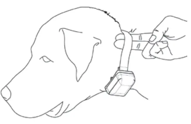 Dogtra iQ Series Rechargeable Waterproof 400-Yard Remote Dog Training E-Collar (8)