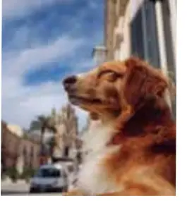 Fujifilm X-E2S Mirrorless Camera-18