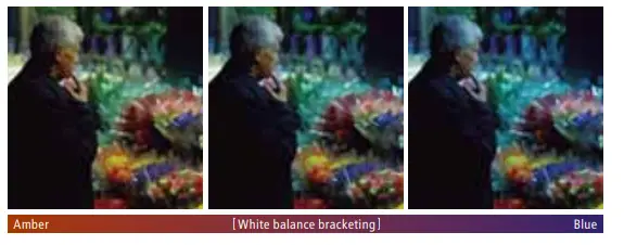 Fujifilm X-E2S Mirrorless Camera-21