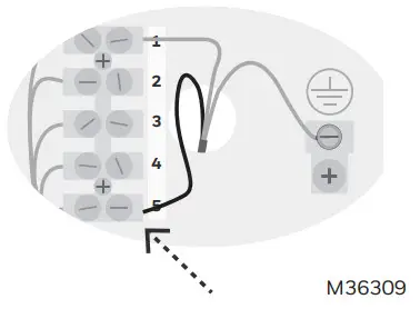 Honeywell HM700A1000 Electrode - Connect hot