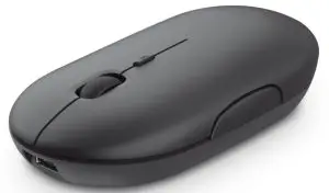 Trust Rechargeable Wireless Mouse